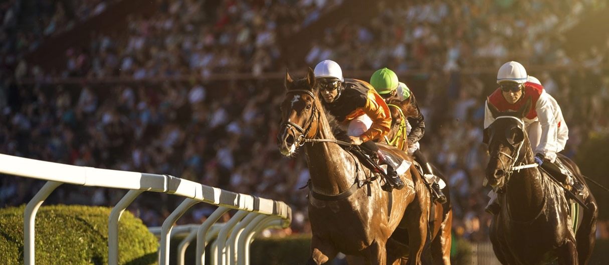 when is dubai world cup 2024 tickets price